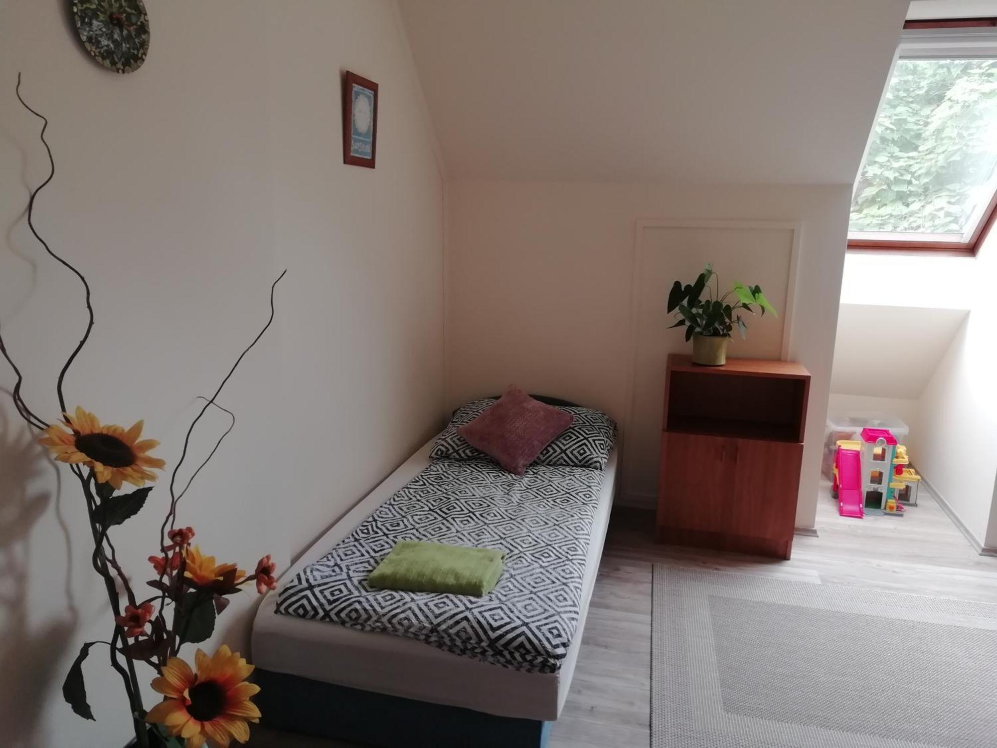 Cehmesterek Apartman Eger Cameră foto